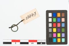 Foto von Bronzering (NHMW-PRAE-026647)